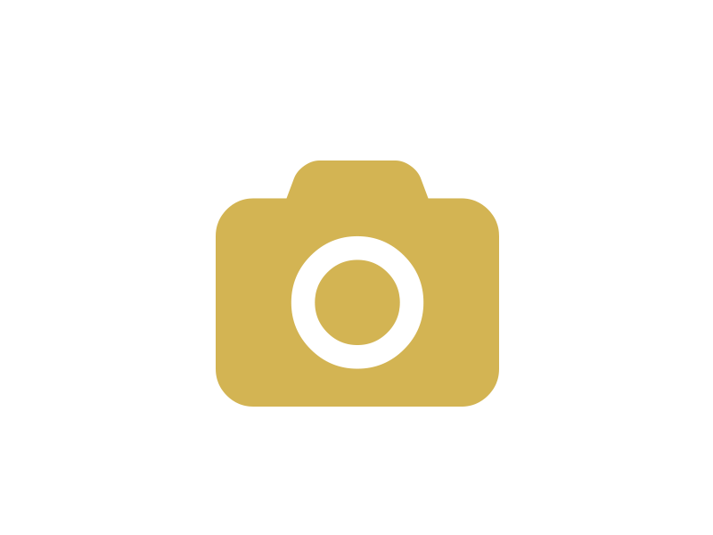 Professional Photography and Videography